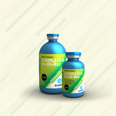 vitamina b1 b2 b6 b12