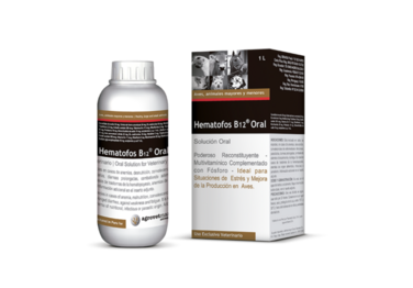 Hematofos B12® Oral