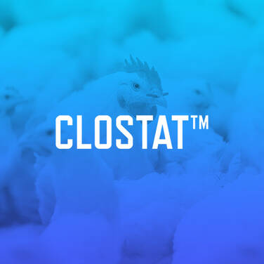 CLOSTAT™ - Aves