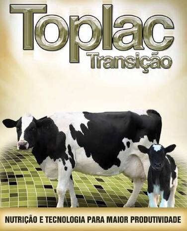 Toplac Transição, Suplemento energético para vaca em transição