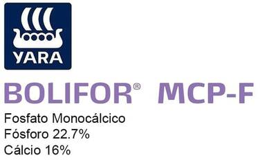 BOLIFOR MCP