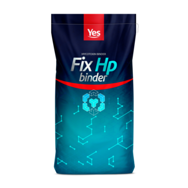 YES - FIX HP