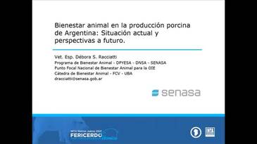 Bienestar animal en la producción porcina Argentina