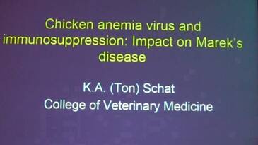 Anemia e Inmunosupresión en Aves: Impacto de Marek