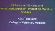 Anemia e Inmunosupresión en Aves: Impacto de Marek