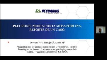 Pleuroneumonía contagiosa porcina, reporte de un caso.