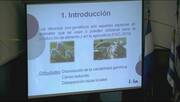 Parentesco y consanguinidad molecular en ovino criollo en Uruguay