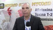 Efecto de un adsorbente de micotoxinas en la respuesta inmune de aves, Manuel Contreras