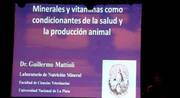 Minerales y vitaminas, condicionantes de salud y producción animal. Guillermo Mattioli