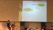 Micotoxinas en Trigo y Maíz, Ricardo Moschini