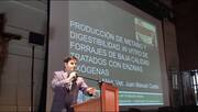 Produccion de metano y digestibilidad in vitro en forrajes tratados con enzimas exógenas. Juan M Cantet
