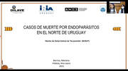 Casos de muerte por endoparásitos en el norte de Uruguay
