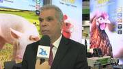 Cuadros clínicos asociados con micotoxicosis en avicultura, M.V. Manuel Contreras