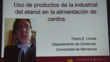 DDG's en la alimentación porcina, Pedro Urriola en TodoCerdos 2014