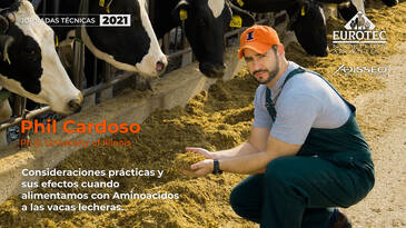 Consideraciones prácticas y sus efectos cuando alimentamos con Aminoácidos a las vacas lecheras, Phil Cardoso