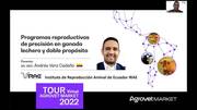 Protocolos de inseminación artificial a tiempo fijo masiva para vaquillonas
