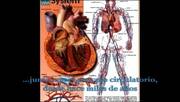 Presión Arterial En Pequeños Animales - Tonometría y Electrocardiografía (parte I)