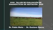 Uruguay - Diagnóstico de gestación 2020 Litoral oeste, centro, centro sur. 