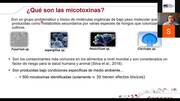 Efecto de las micotoxinas sobre el estrés oxidativo