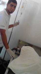 Fluido terapia a un canino con grado alto de deshidratación