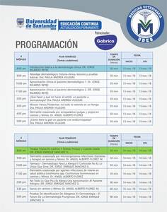 Temas a ser dados en el seminario de Dermatología