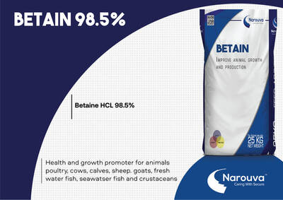 Feed Additive BETAIN %98.5