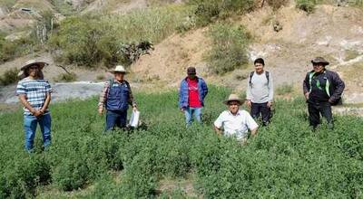 Charla técnica sobre manejo de pastos cultivados