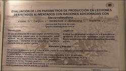 Resultado de imagen para Engormix   /  Porcicultura   /  Videos Lechones destetados alimentados con stevia, Jaqueline Bereterbide (UnLu)