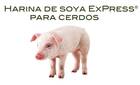 Harina de soya ExPress® para Cerdos