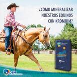DSM ANIMAL NUTRICION CEL:438 112 41 37
