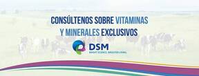 DSM animal nutricion CEL :438 112 41 37