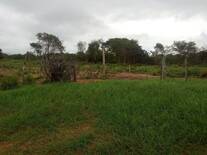PASTO 6