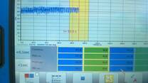TEST DINAMICO
