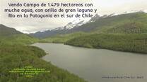 Vendo campo de 1.479 hectáreas a orilla de Lago sur de Chile