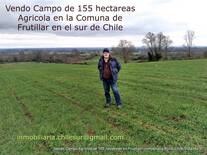 Vendo campo Agricola de 155 hectáreas sur de Chile