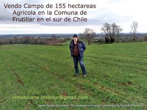 Vendo campo Agricola de 155 hectáreas sur de Chile