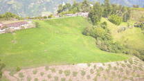 Aguacate Hass y lecheria especializada 2000 msnm