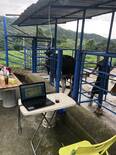trabajo de palpacion seguimiento con Software Ganadero sg