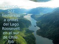 Vendo Campo a orilla de lago en el sur de Chile