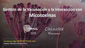 Gestión de la vacunación y la interacción micotoxinas