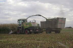 Confección de silo propio y a terceros