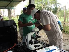 capacitacion ; evaluacion de sementales