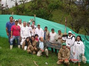 Curso de apicultura