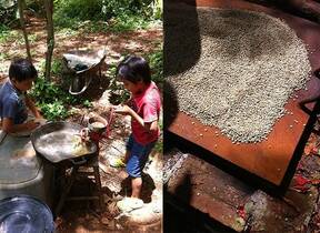 Avicultura de Traspatio en Zonas Mayeras