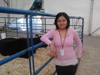 Expo ganadera D.F