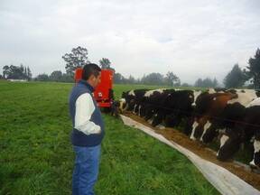 Suplementación Estratégica en vacas en pastoreo de alta producción
