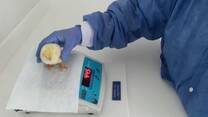 Servicio de Laboratorio