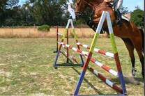 Areco Gouin Argentina Horses