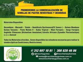 Portafolio de productos y Servicios.