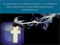 Bialar. Expertos en Marketing Agropecuario